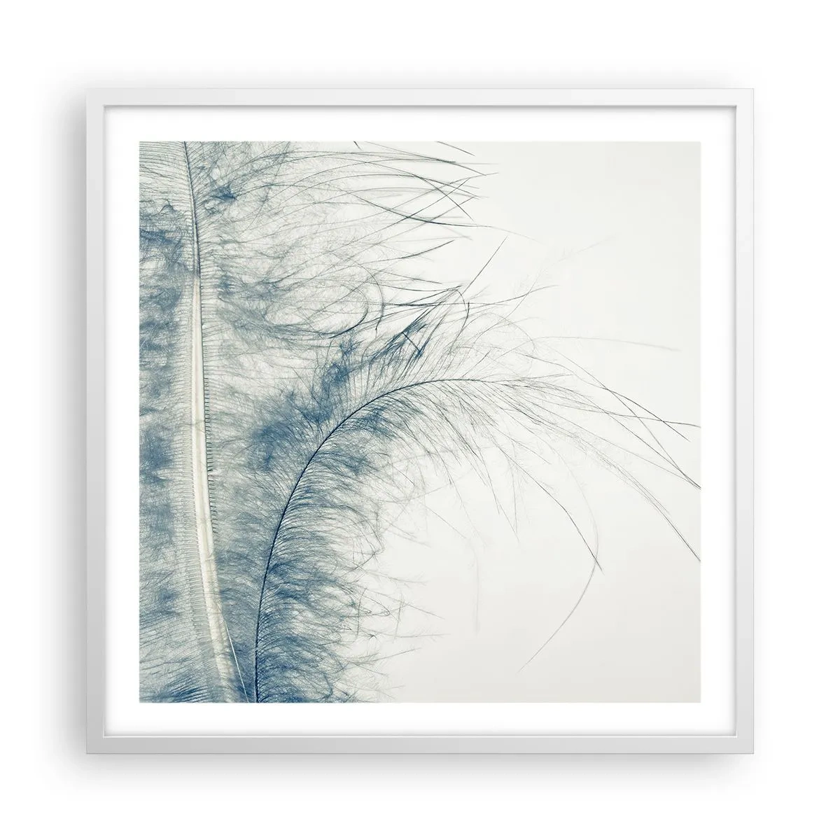 Affiche dans un cadre blanc - Poster - Les sept natures - 60x60 cm