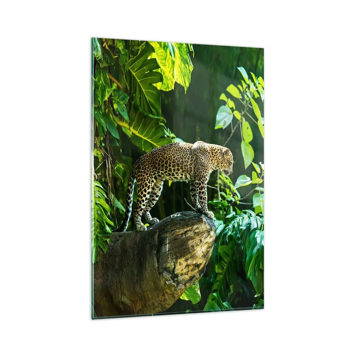 Impression sur verre - Image sur verre - Un léopard debout sur un rocher entouré de végétation tropicale - 80x120cm - À la chasse? - Décoration murale moderne pour le salon et la chambre ARTTOR