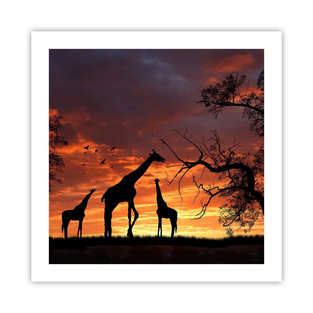 Affiche - Poster - Un petit dîner avec vos proches - 50x50 cm