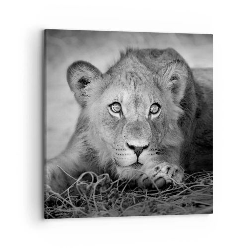 Impression sur toile - Image sur toile - Chiot royal - 70x70 cm