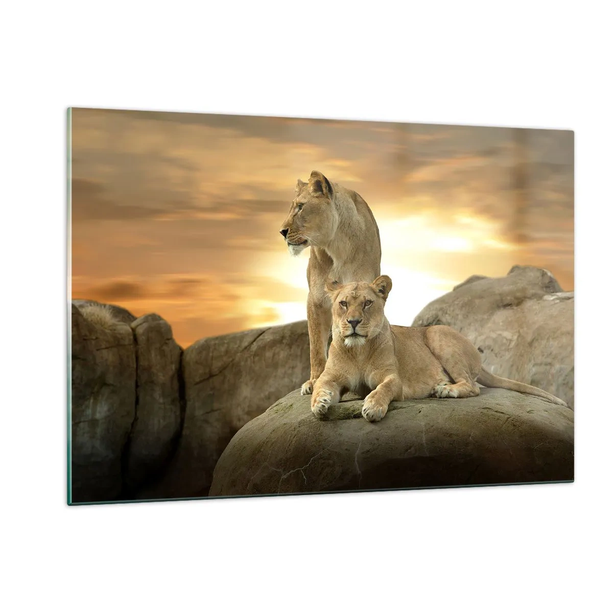 Impression sur verre - Image sur verre - Majesté royale - 120x80cm - Majesté royale - Décoration murale moderne pour le salon et la chambre ARTTOR