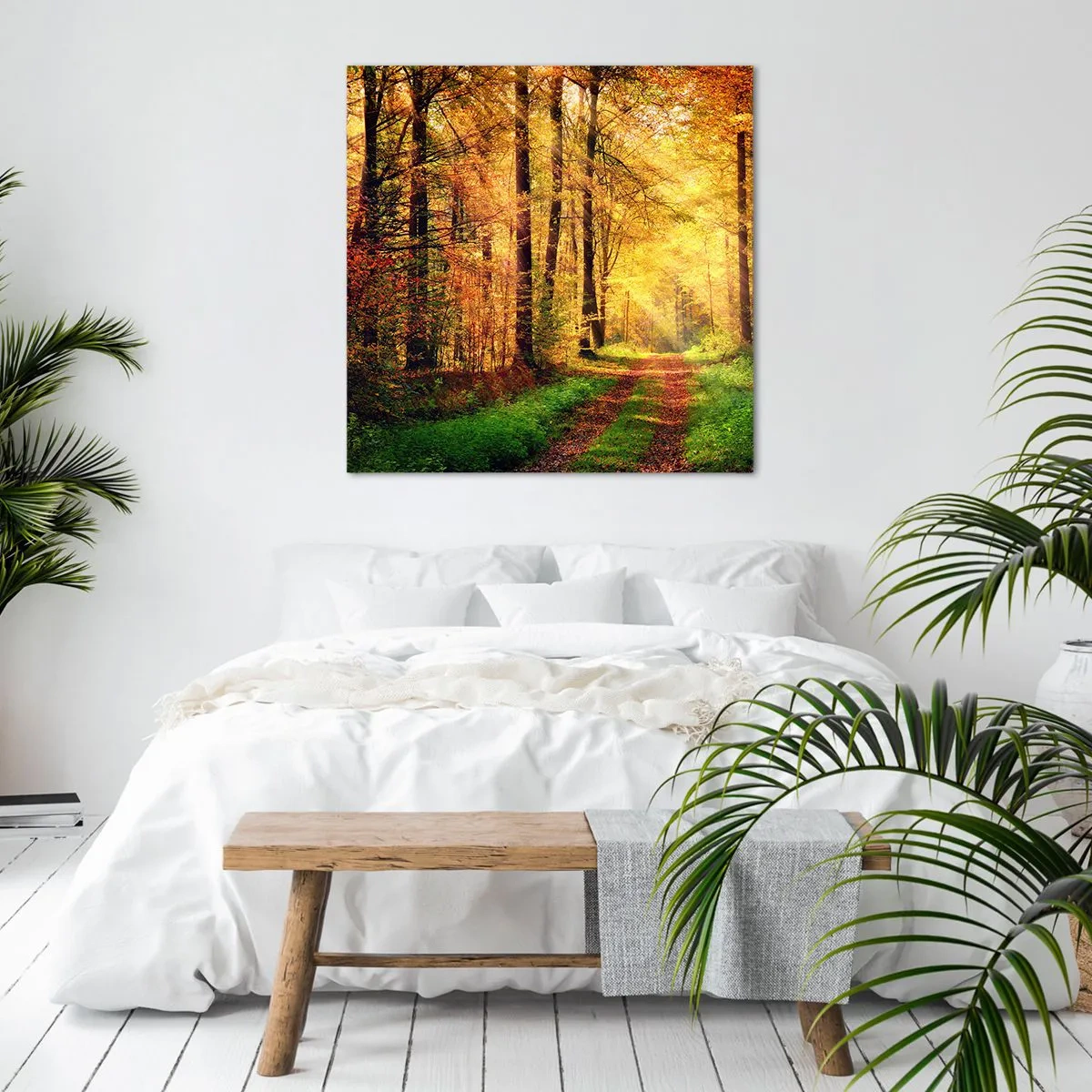 Impression sur toile - Image sur toile - Silence d'or en forêt - 30x30 cm
