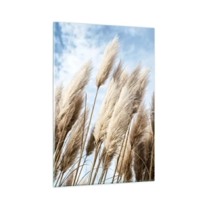 Impression sur verre - Image sur verre - Herbes de pampa délicates contre un ciel bleu avec des nuages légers - 80x120cm - Caresse ensoleillée et venteuse - Décoration murale moderne pour le salon et la chambre ARTTOR
