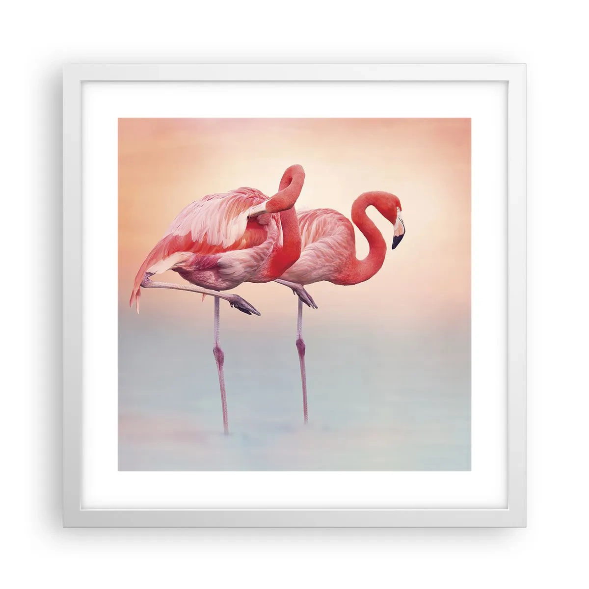 Affiche dans un cadre blanc - Poster - Dans les couleurs du soleil couchant - 40x40 cm