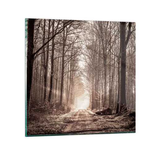 Impression sur verre - Image sur verre - Cathédrale de la forêt - 60x60 cm