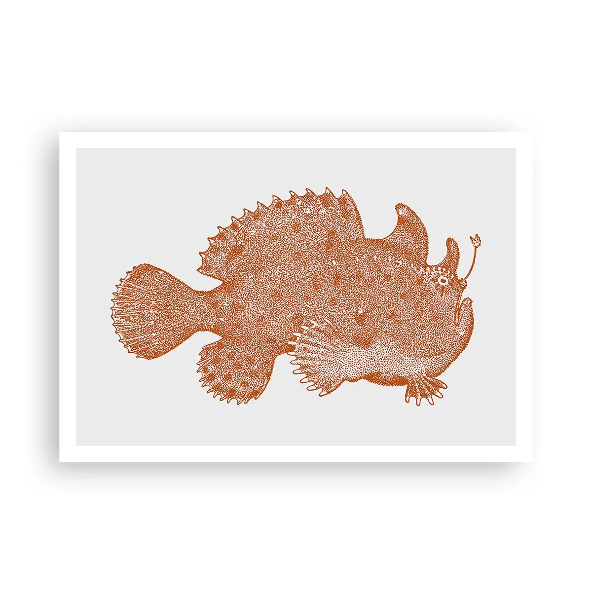 Affiche - Poster - Dessin détaillé d'un poisson cuivré sur fond blanc - 100x70cm - Et pourtant un poisson - Décoration murale moderne pour le salon et la chambre ARTTOR