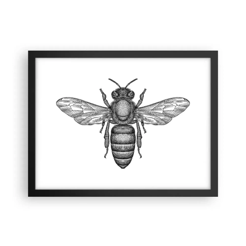 Affiche dans un cadre noir - Poster - Portrait d'insecte - 40x30 cm