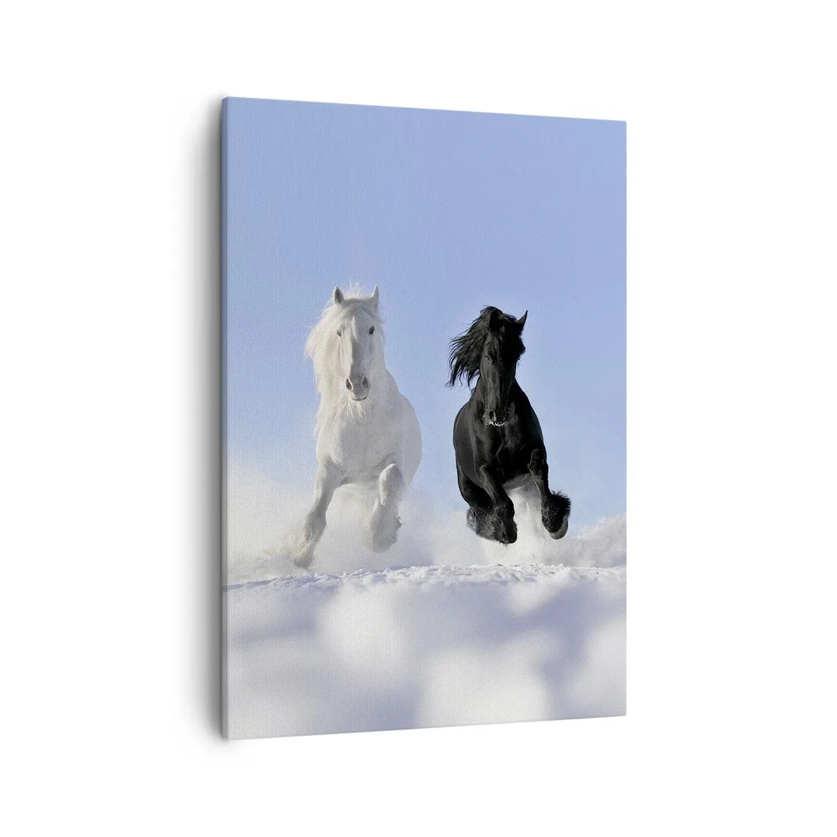 Impression sur toile - Image sur toile - Un cheval blanc et un cheval noir galopant dans la neige - 50x70cm - Galop noir et blanc - Décoration murale moderne pour le salon et la chambre ARTTOR