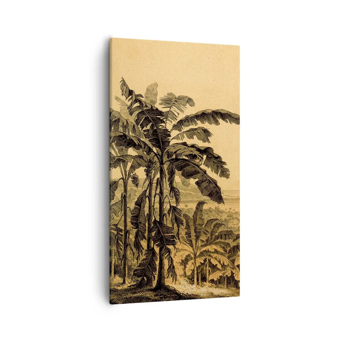 Impression sur toile - Image sur toile - Dans un climat colonial - 55x100 cm