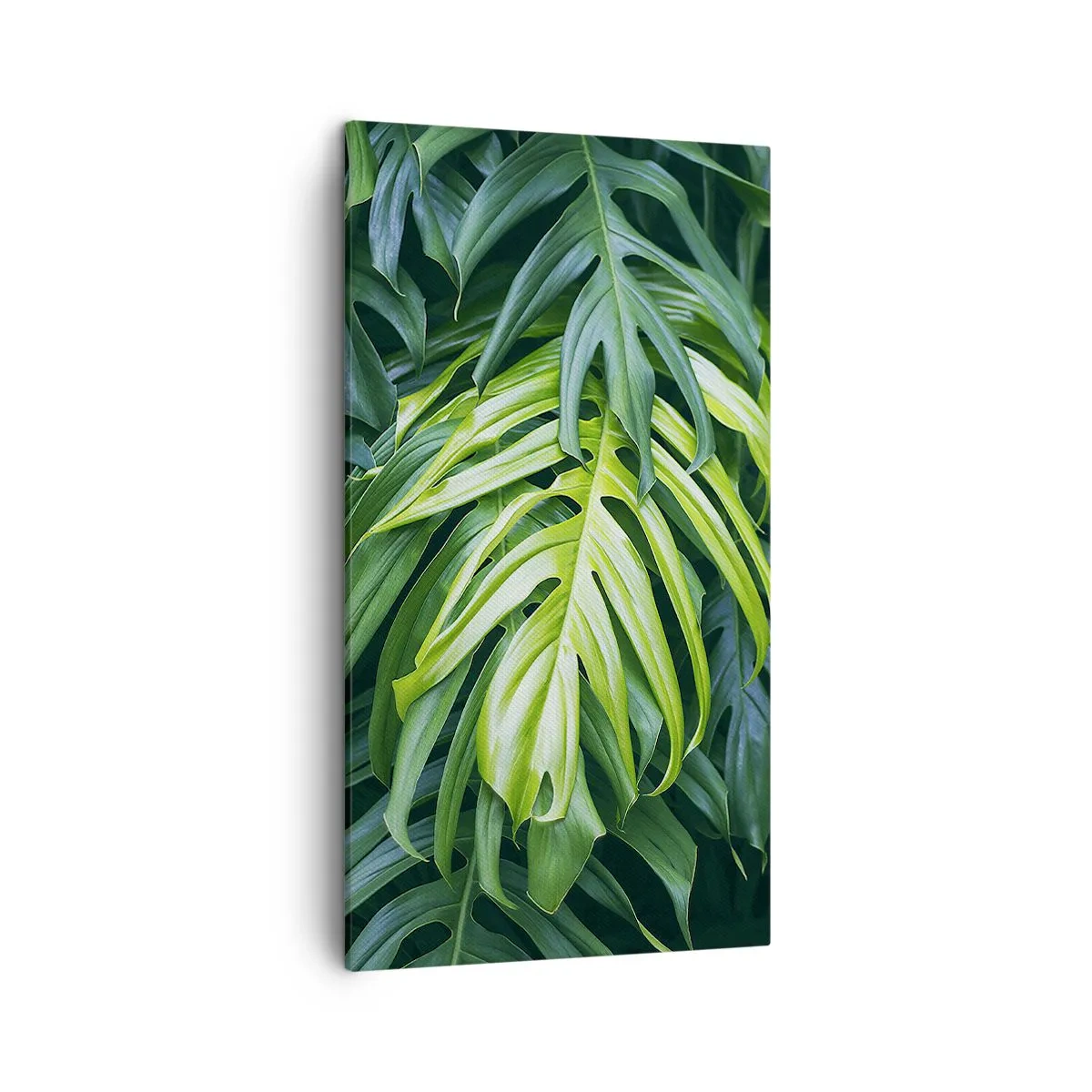 Impression sur toile - Image sur toile - Immergez-vous dans la fraîcheur - 45x80 cm