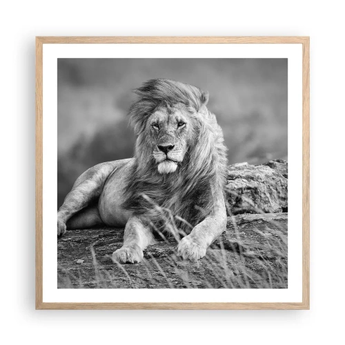 Affiche dans un chêne clair - Poster - Sieste royale - 60x60 cm