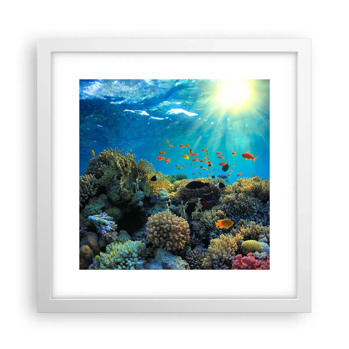 Affiche dans un cadre blanc - Poster - Trésor sous-marin - 30x30 cm