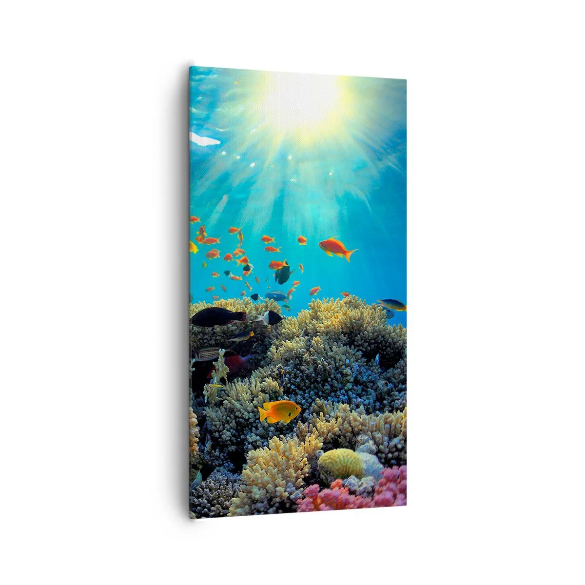 Impression sur toile - Image sur toile - Trésor sous-marin - 65x120 cm