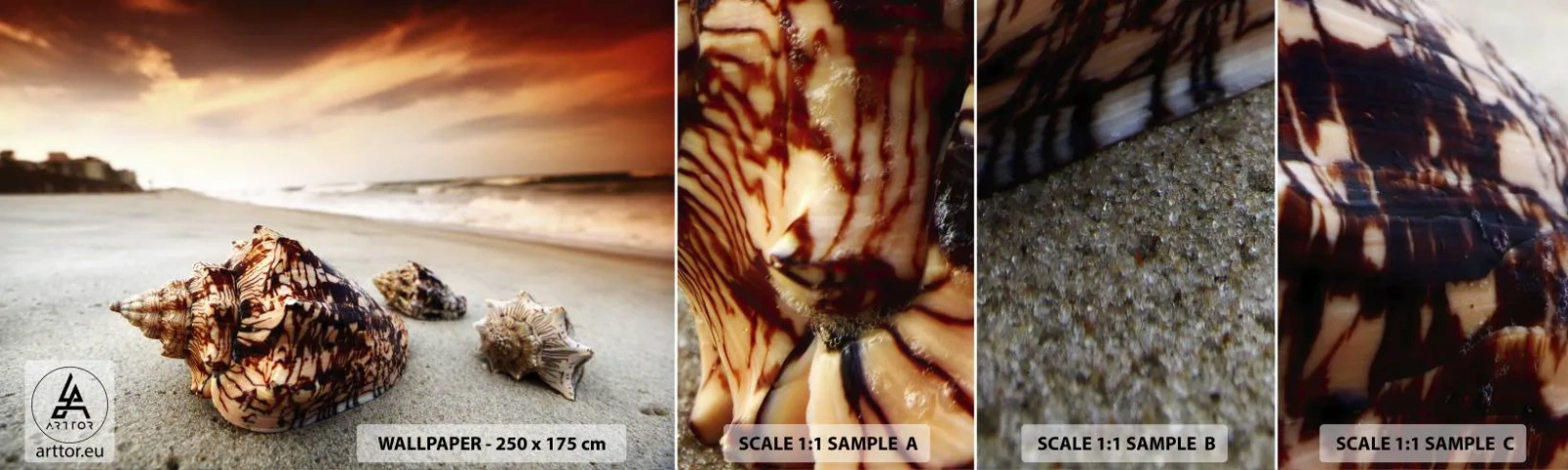 Échantillon de Papier Peint Autocollant Deluxe Sticker - Les parias des vagues - Paysage, Mer, Coquillage - 100x30 cm