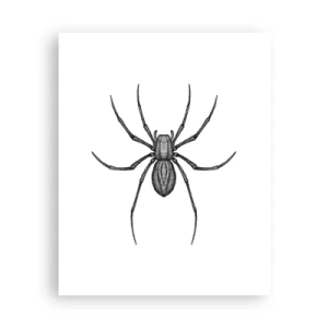 Affiche - Poster - Une précision troublante - 40x50 cm