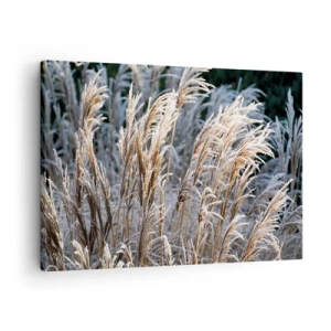Impression sur toile - Image sur toile - Brins d'herbe d'hiver recouverts de givre sur un fond vert foncé - 70x50cm - Habillé de givre - Décoration murale moderne pour le salon et la chambre ARTTOR