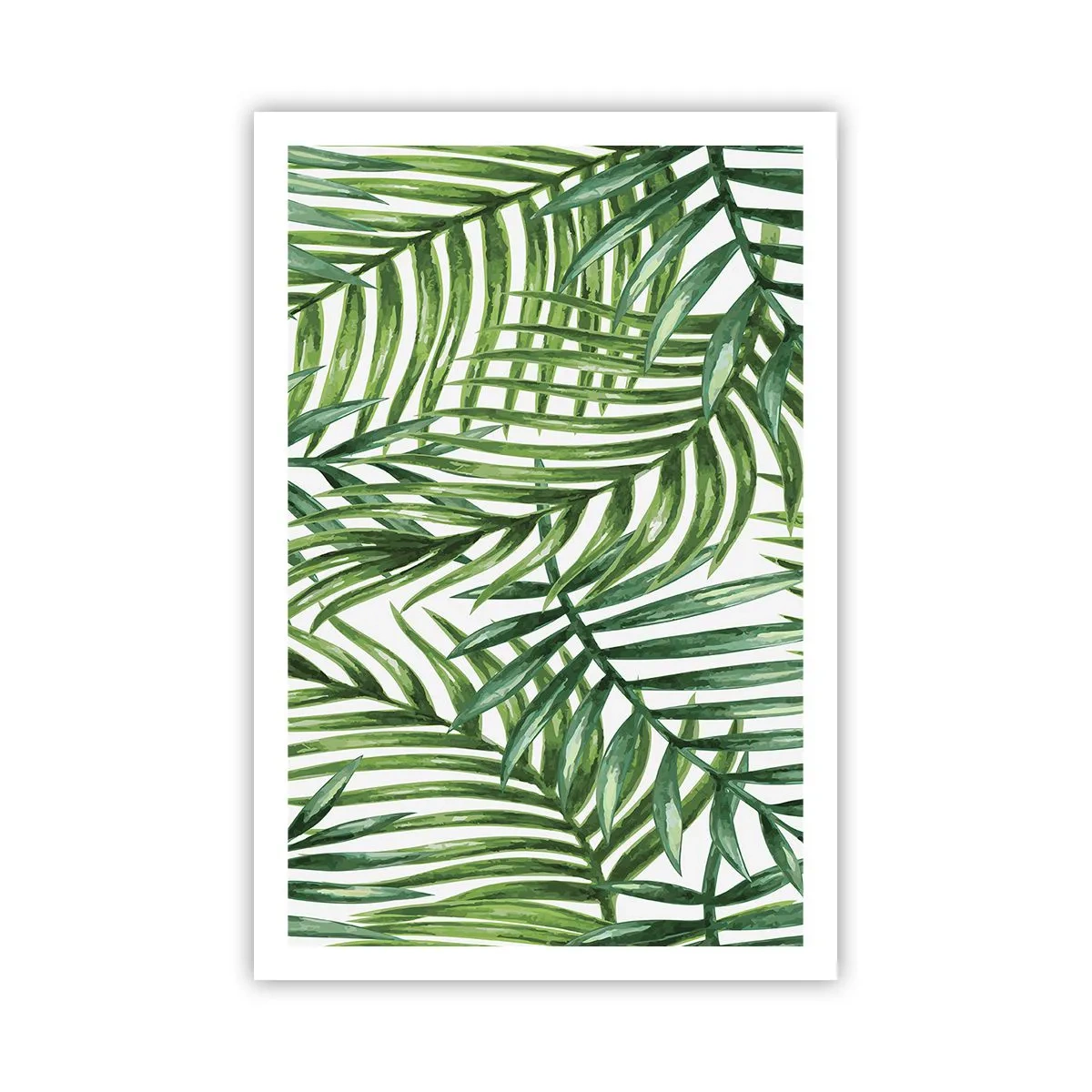 Affiche - Poster - Sous la canopée verte - 61x91 cm