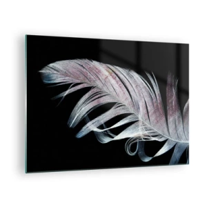 Impression sur verre - Image sur verre - Une plume délicate sur fond noir dans une démarche artistique - 70x50cm - Pensez au toucher - Décoration murale moderne pour le salon et la chambre ARTTOR