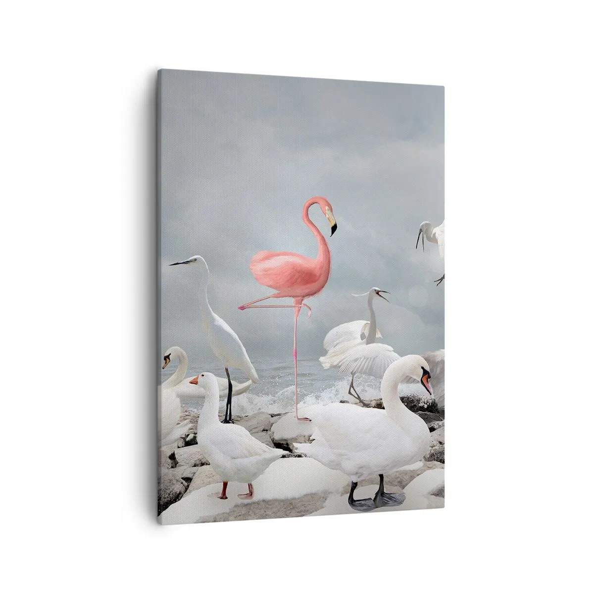 Impression sur toile - Image sur toile - Un flamant rose parmi des cygnes blancs sur fond de lac - 50x70cm - Comment suis-je arrivé là? - Décoration murale moderne pour le salon et la chambre ARTTOR
