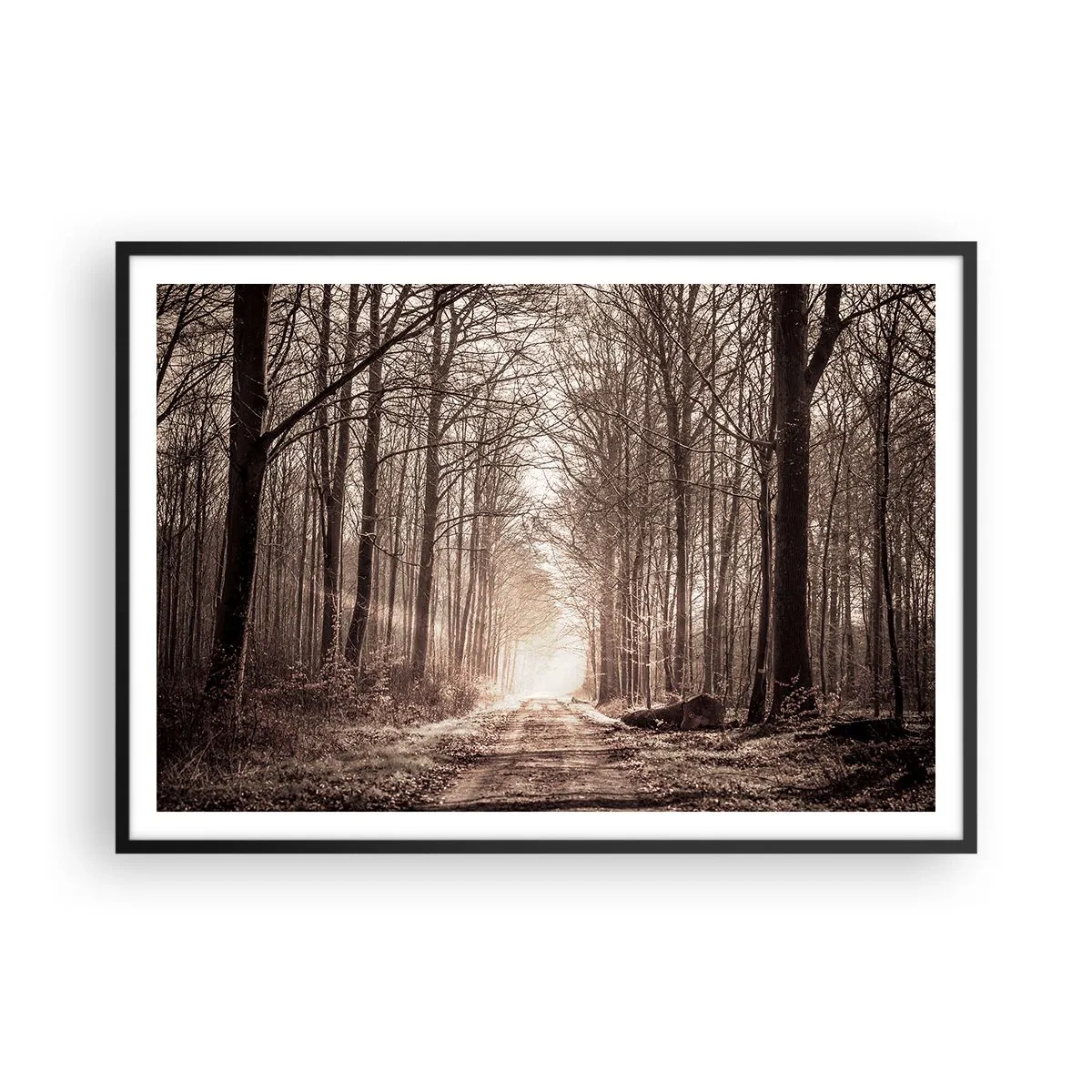 Affiche dans un cadre noir - Poster - Un chemin forestier parmi des arbres aux tons sépia - 100x70cm - Cathédrale de la forêt - Décoration murale moderne pour le salon et la chambre ARTTOR