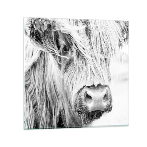 Impression sur verre - Image sur verre - Sauvagerie écossaise - 40x40 cm