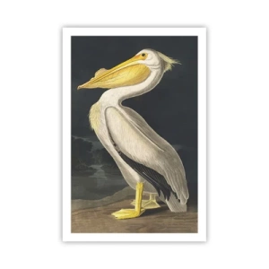 Affiche - Poster - Plein de fierté - 61x91 cm