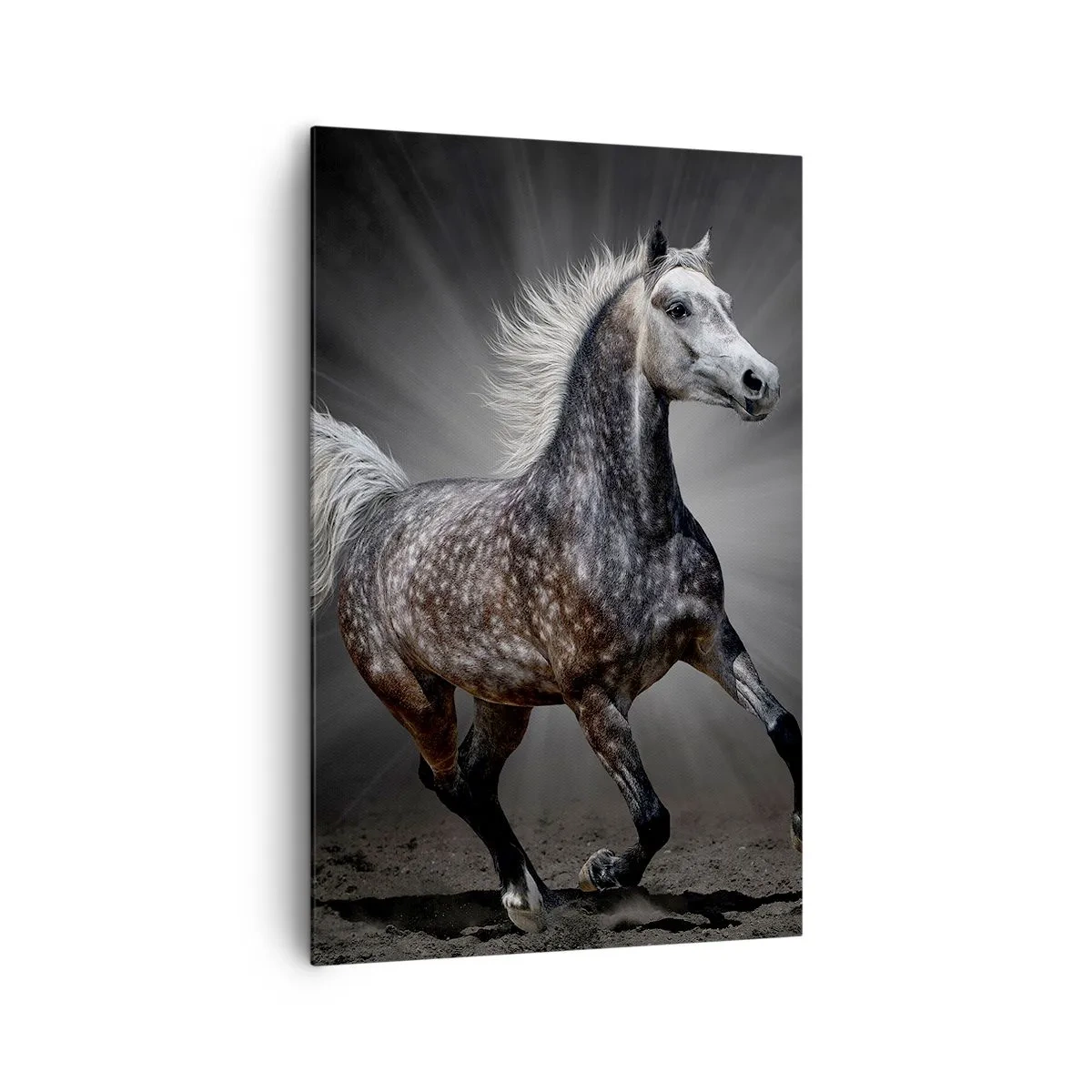 Impression sur toile - Image sur toile - Un cheval blanc galopant sur un fond sombre - 80x120cm - Le gris est beau - Décoration murale moderne pour le salon et la chambre ARTTOR