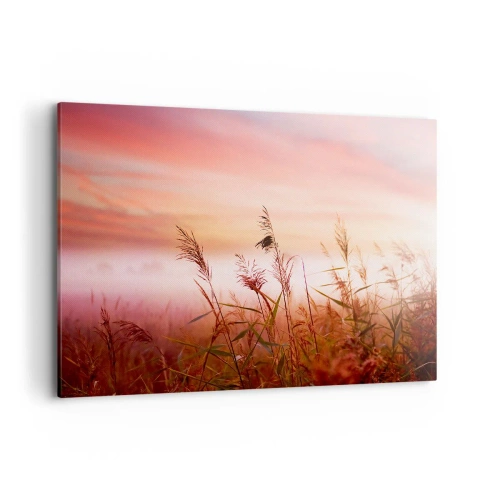 Impression sur toile - Image sur toile - Un champ d'herbe sur fond de coucher de soleil pittoresque - 100x70cm - Cerfs-volants, pissenlits, vent - Décoration murale moderne pour le salon et la chambre ARTTOR