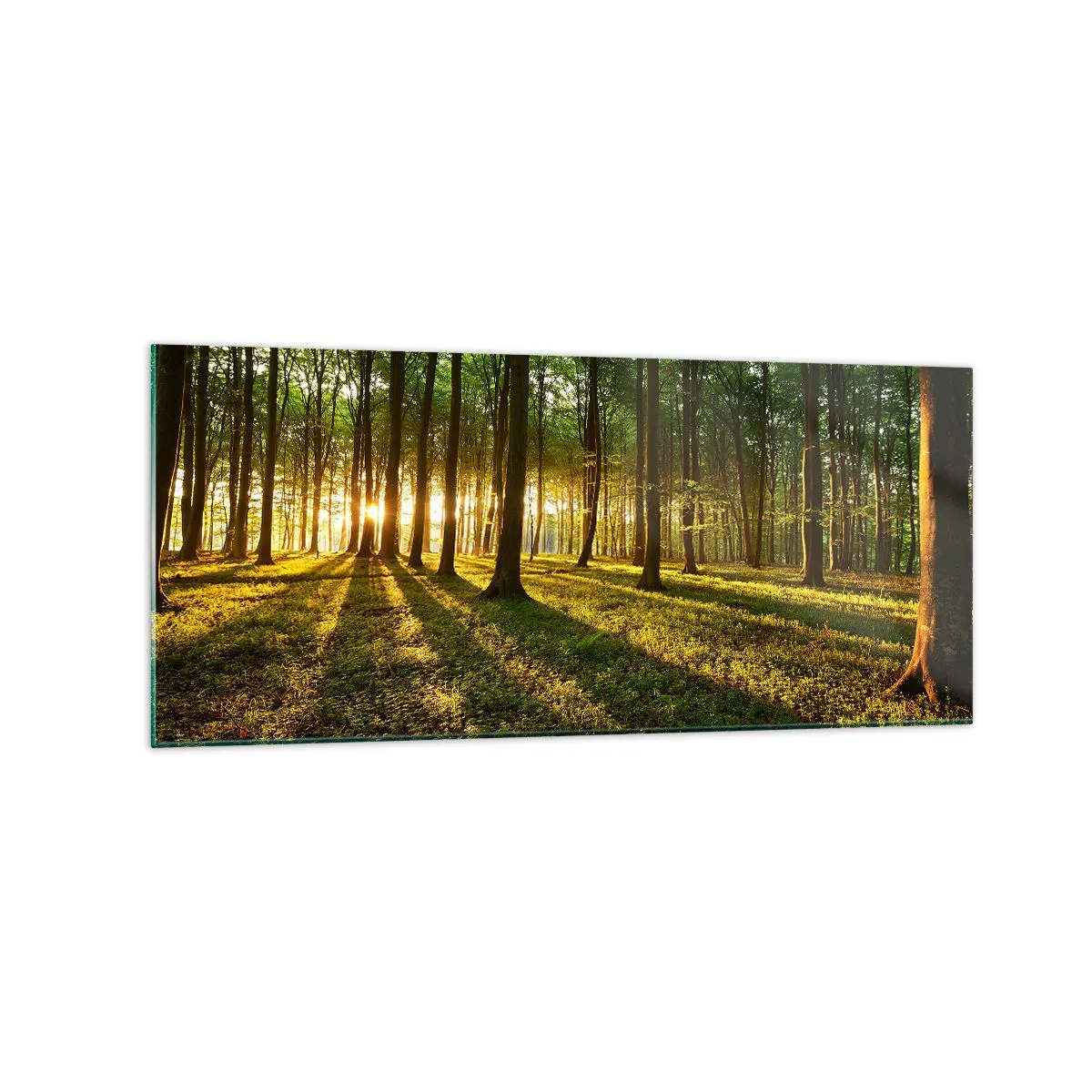 Impression sur verre - Image sur verre - Le soleil couchant dans la forêt de feuillus - 120x50cm - Toutes les photographies de printemps - Décoration murale moderne pour le salon et la chambre ARTTOR