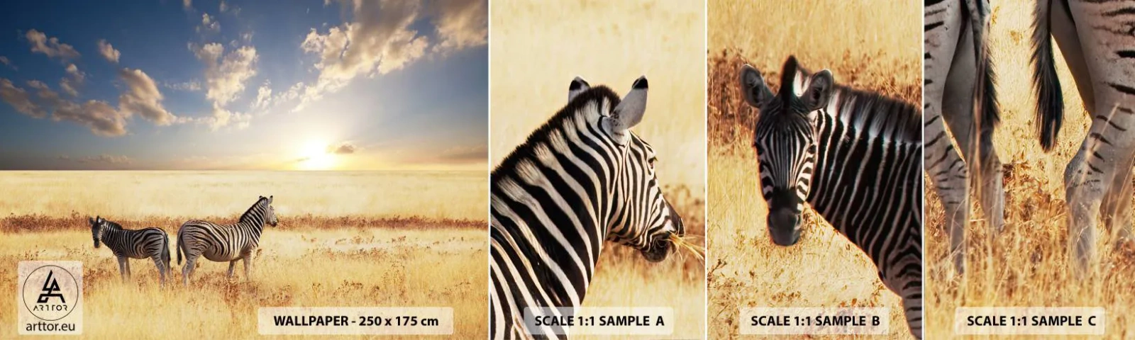 Échantillon De Papier Peint Standard Eco - Va-t'en, n'ai pas de paix - Animaux, Côtes, Safari - 100x30 cm