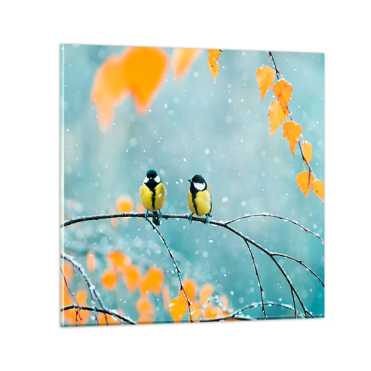 Impression sur verre - Image sur verre - Potins d'oiseaux - 40x40 cm