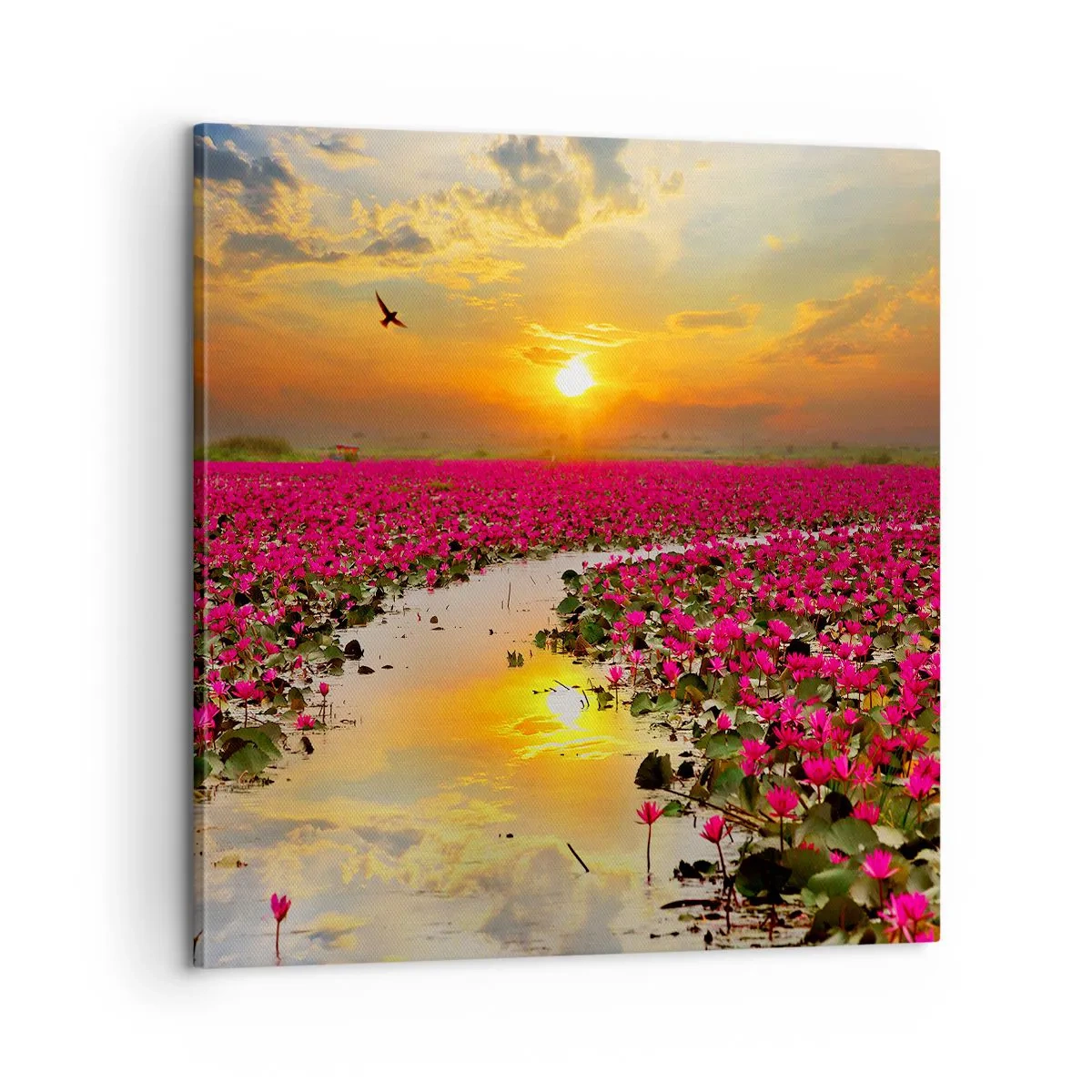 Impression sur toile - Image sur toile - La vie secrète du lac - 60x60 cm