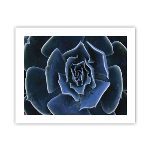 Affiche - Poster - Fleur du désert - 50x40 cm