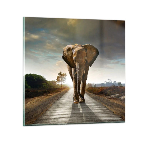 Impression sur verre - Image sur verre - Et pas du tout en porcelaine - 40x40 cm