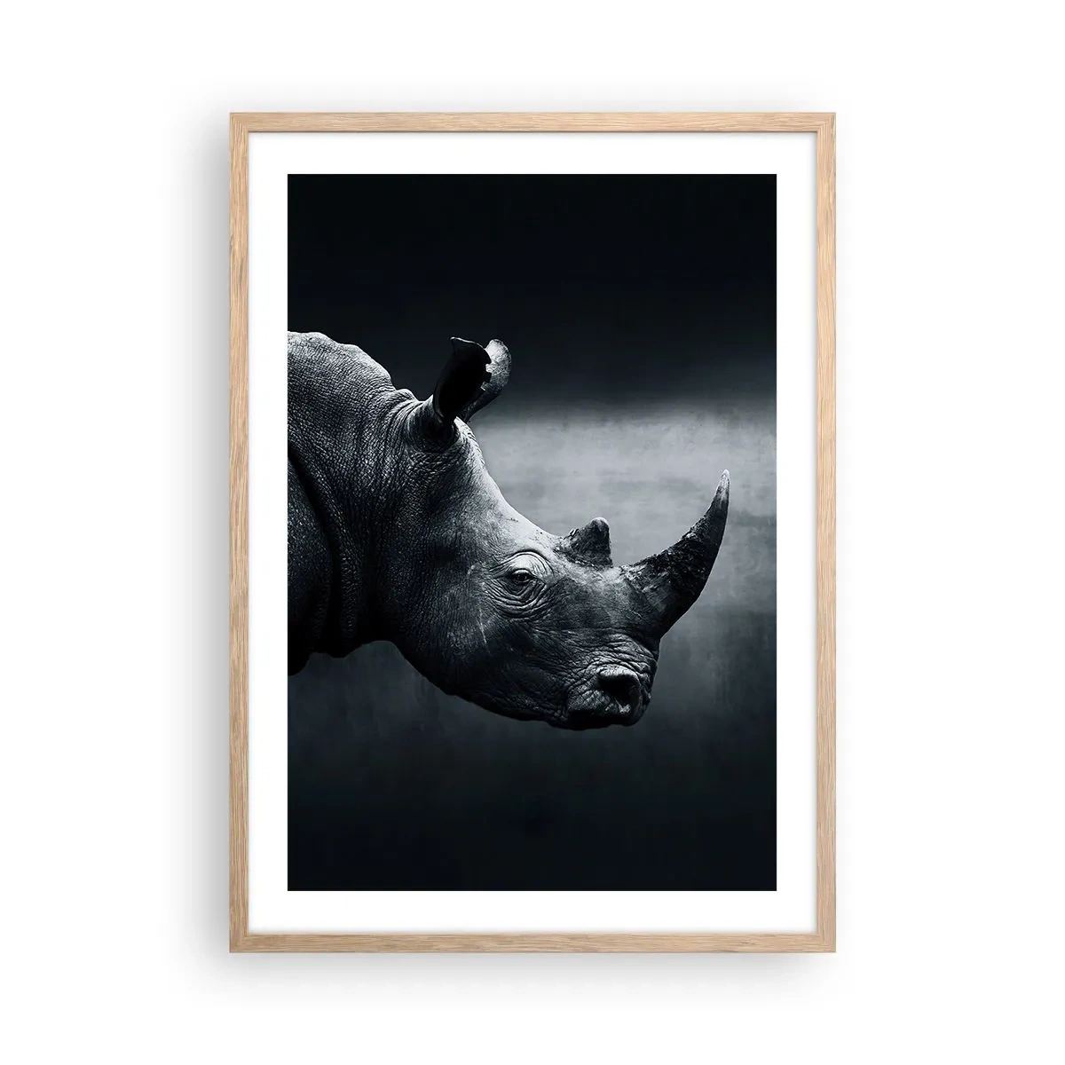 Affiche dans un chêne clair - Poster - Le profil droit - 50x70 cm