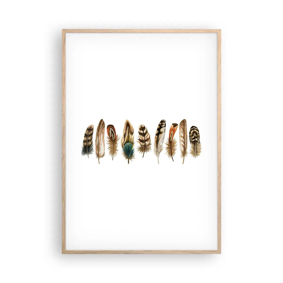 Affiche dans un chêne clair - Poster - Variation à plumes - 70x100 cm