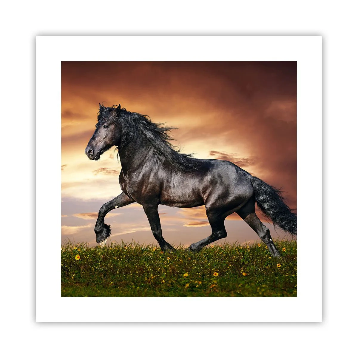 Affiche - Poster - Livres noirs - 40x40 cm