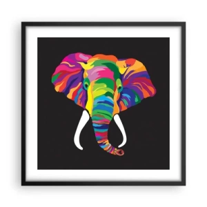 Affiche dans un cadre noir - Poster - L'éléphant qui aimait se baigner dans un arc-en-ciel - 50x50 cm