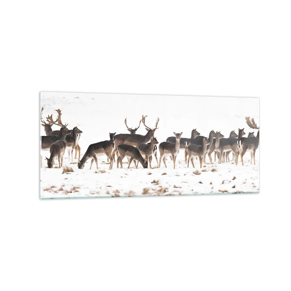 Impression sur verre - Image sur verre - Un troupeau de cerfs sur fond de neige - 120x50cm - Les fêtes approchent ? - Décoration murale moderne pour le salon et la chambre ARTTOR