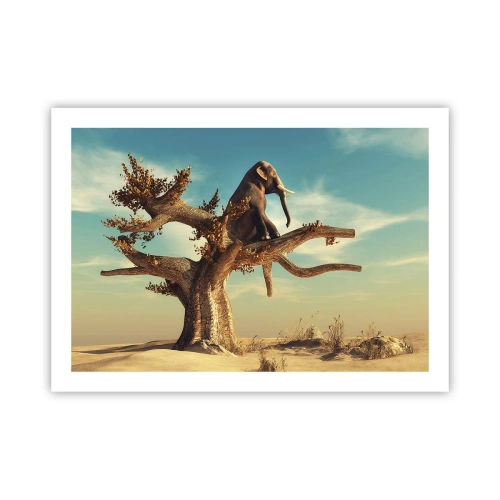 Affiche - Poster - Nouveau point de vue - 70x50 cm