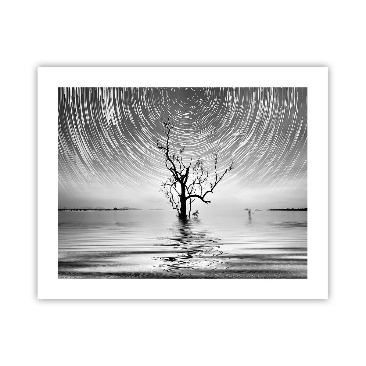 Affiche - Poster - La symphonie de la nature - 50x40 cm