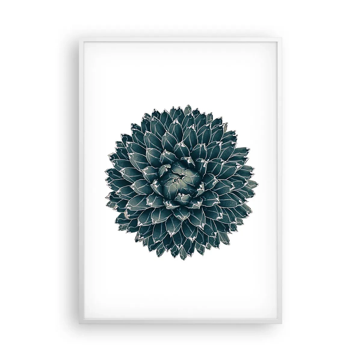 Affiche dans un cadre blanc - Poster - Étoile du désert - 70x100 cm