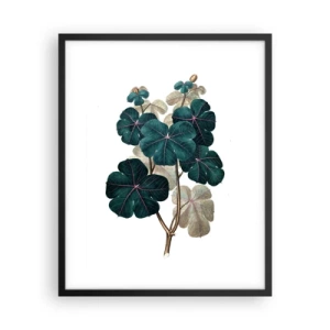 Affiche dans un cadre noir - Poster - De l'ancien herbier - 40x50 cm