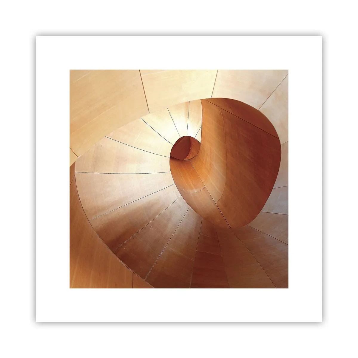 Affiche - Poster - Serpentin architectural - 30x30 cm