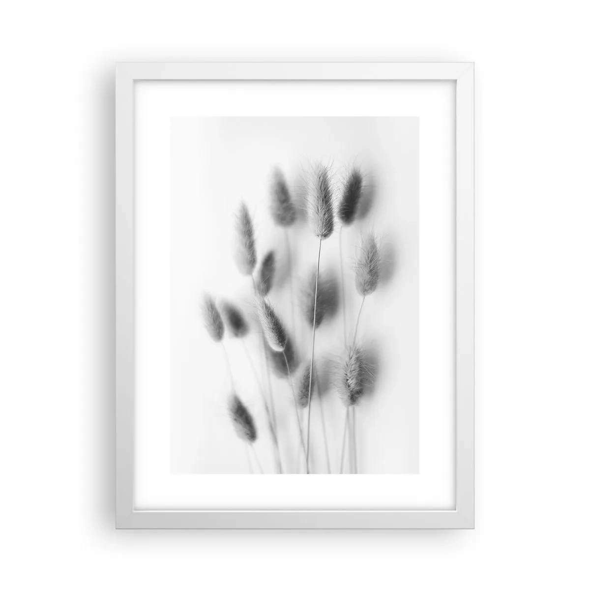 Affiche dans un cadre blanc - Poster - Son herbe duveteuse - 30x40 cm