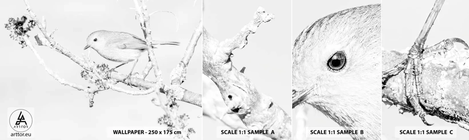 Échantillon De Papier Peint Standard Eco - Matin d'hiver - Brillant, Oiseau, Nature - 100x30 cm