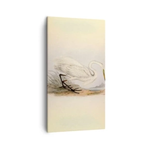 Impression sur toile - Image sur toile - Dame sur les joncs - 45x80 cm