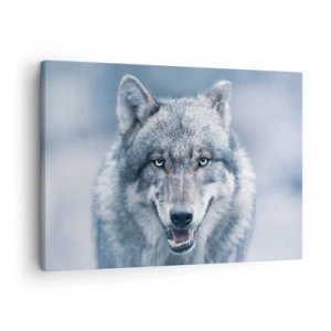Impression sur toile - Image sur toile - Un loup au regard intense dans un paysage hivernal - 70x50cm - Relèverez-vous le défi ? - Décoration murale moderne pour le salon et la chambre ARTTOR