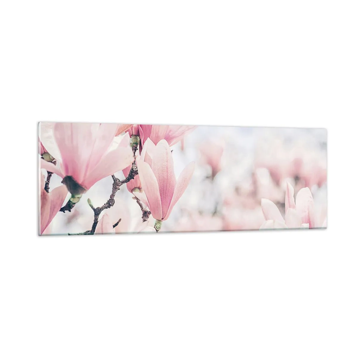 Impression sur verre - Image sur verre - Idéal de la subtilité - 90x30 cm