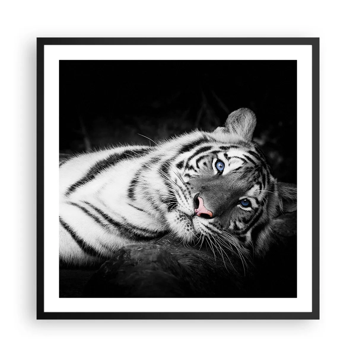 Affiche dans un cadre noir - Poster - Sauvagerie et paix - 60x60 cm